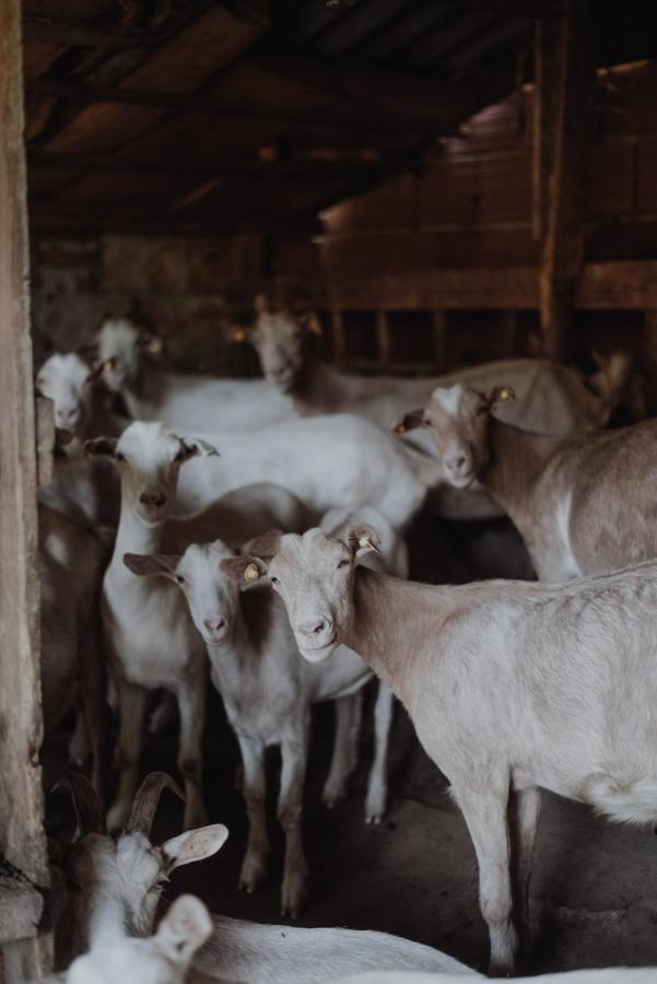 Omorani Rancho I Vancho Na Kata المظهر الخارجي الصورة
